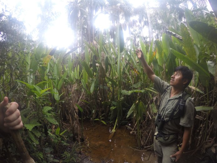 How The Amazon Rainforest Challenged My Comfort Zone.