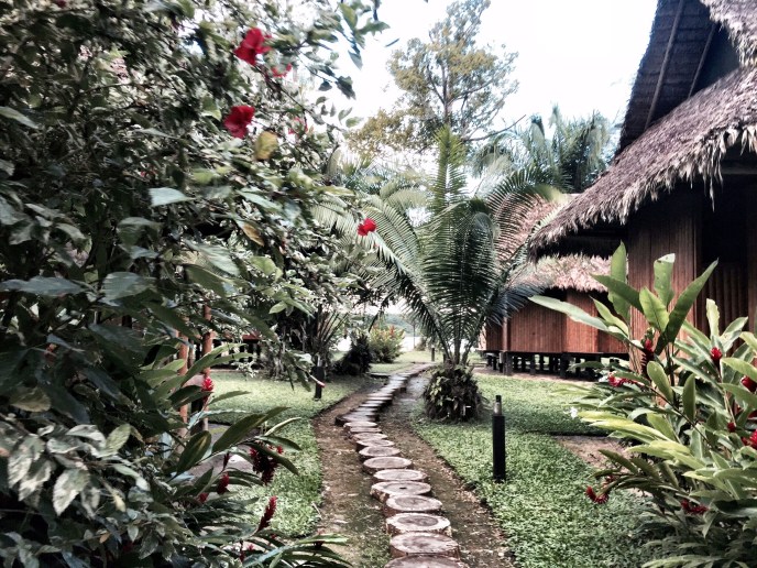 How The Amazon Rainforest Challenged My Comfort Zone