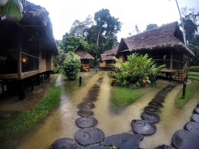 How The Amazon Rainforest Challenged My Comfort Zone.