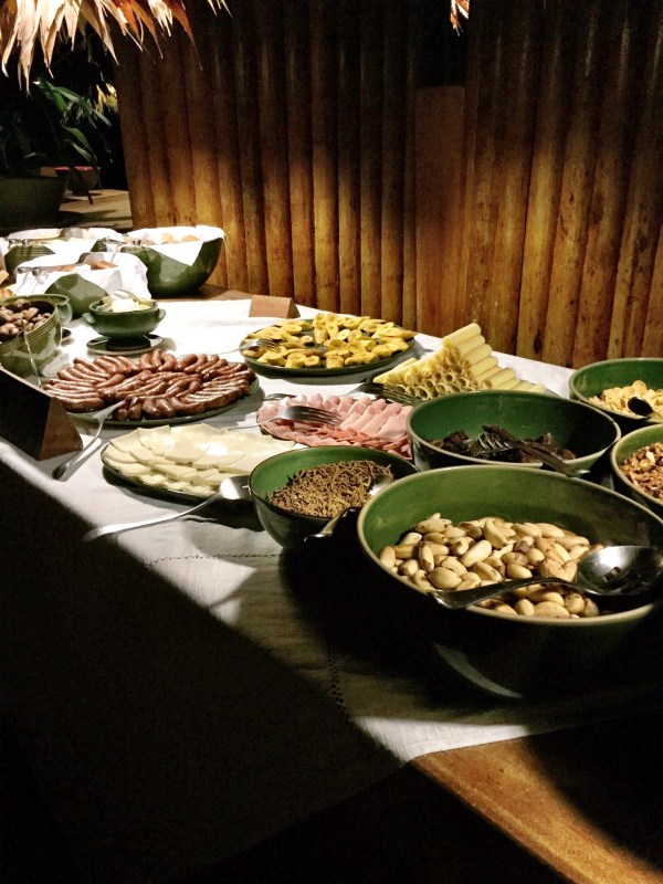 How The Amazon Rainforest Challenged My Comfort Zone