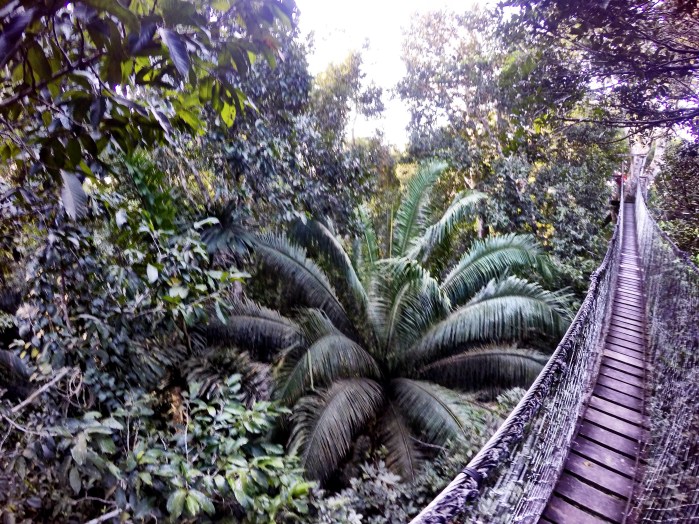 How The Amazon Rainforest Challenged My Comfort Zone.