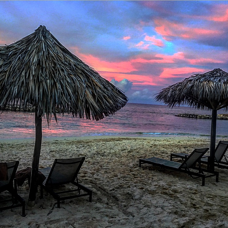 The Rollercoaster That Was 2016